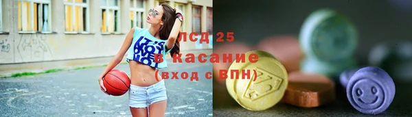 дживик Надым