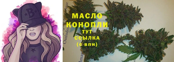 дживик Надым